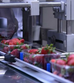 lubricantes para maquinaria de alimentos
